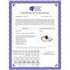 Image 2 : Genuine 0.46 ctw Garnet & Diamond Ring 14KT Rose Gold - REF-28Y3F