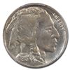 Image 2 : 1913-D Buffalo Nickel Type-II MS-65 PCGS