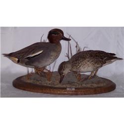 2 MOUNTED DUCKS ON PLINTH