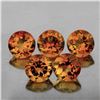 Image 1 : Natural Champagne Imperial Topaz 5 Pcs{Flawless-VVS1}