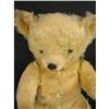 Image 3 : Very Old, Obsessively-loved Yellow Teddy