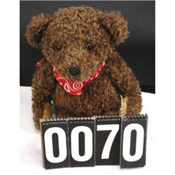 Curly Haired Brown Bear