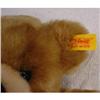 Image 3 : Steiff Teddy Bear