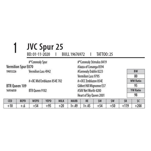 JVC Spur 25