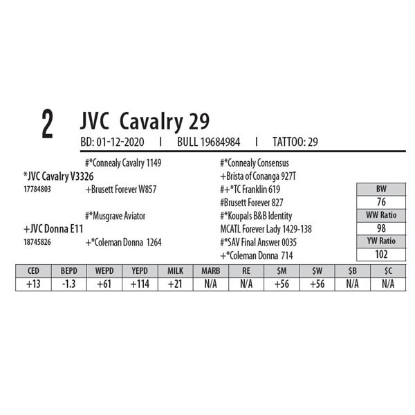 JVC Cavalry 29