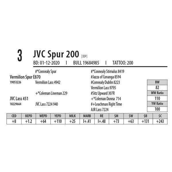 JVC Spur 200 [ DDP ]