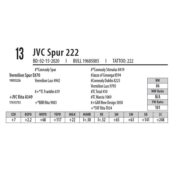 JVC Spur 222