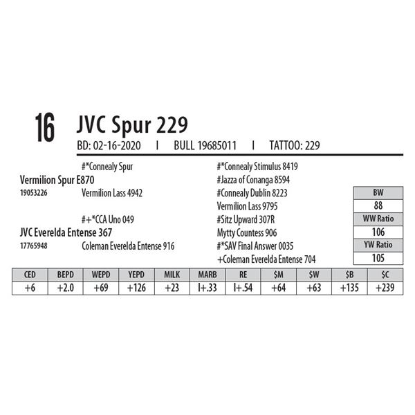 JVC Spur 229