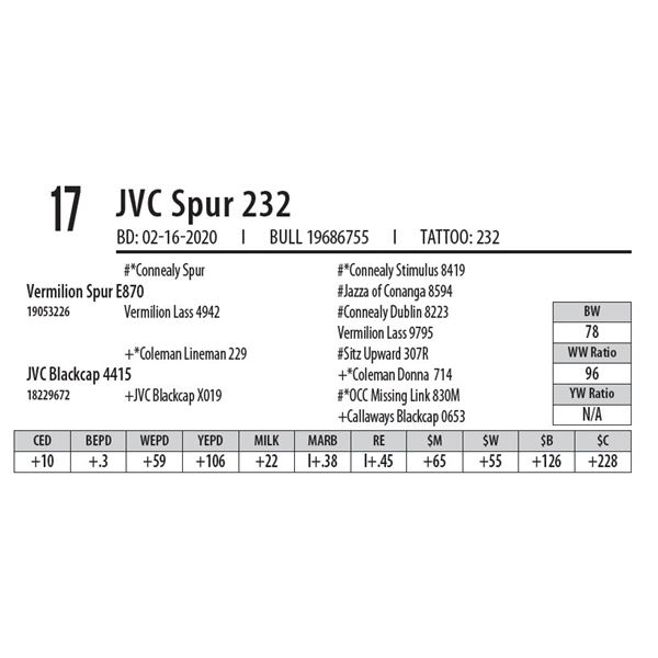 OUT OF SALE - JVC Spur 232