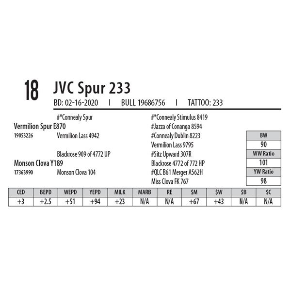 JVC Spur 233