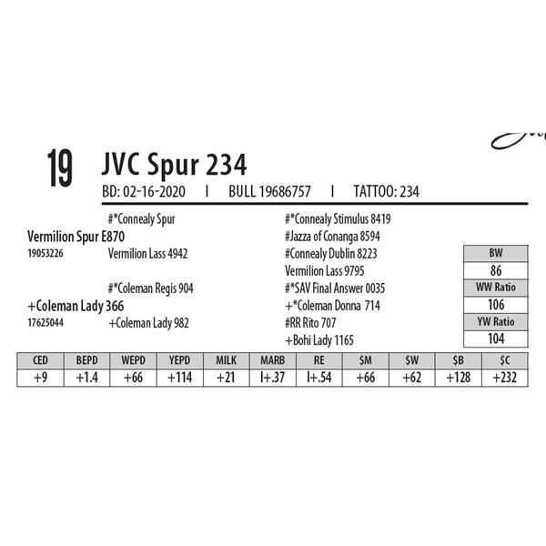 JVC Spur 234