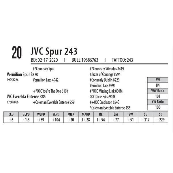 OUT OF SALE - JVC Spur 243
