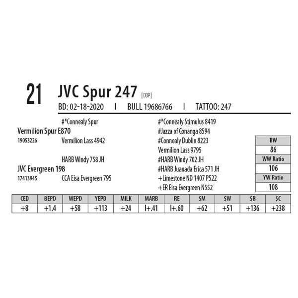 JVC Spur 247 [ DDP ]