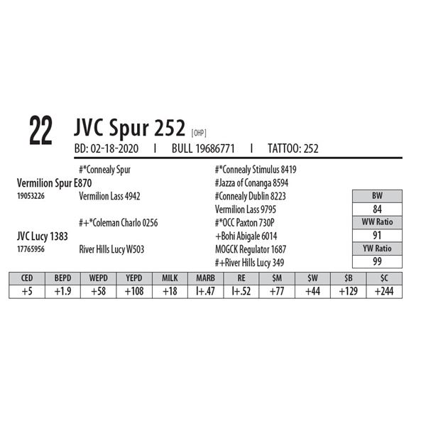 JVC Spur 252 [ OHP ]