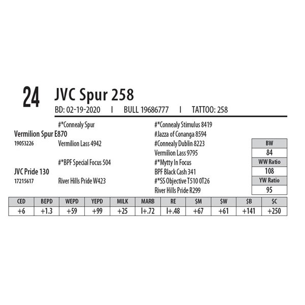 OUT OF SALE - JVC Spur 258