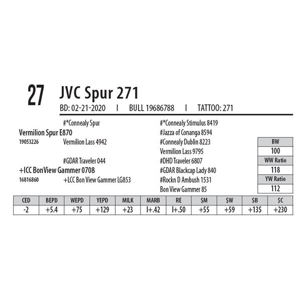 JVC Spur 271