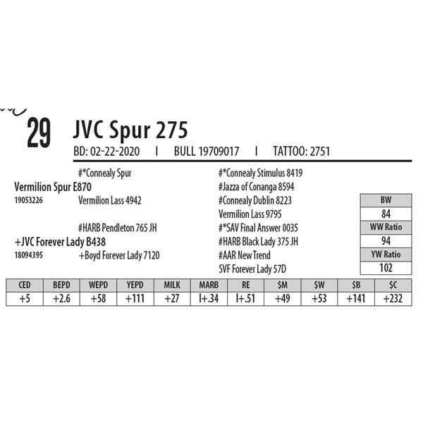 OUT OF SALE - JVC Spur 275