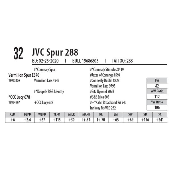 JVC Spur 288