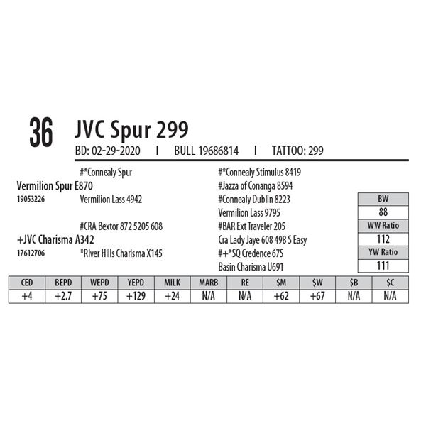 JVC Spur 299