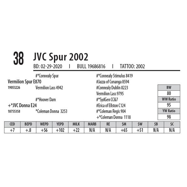 JVC Spur 2002
