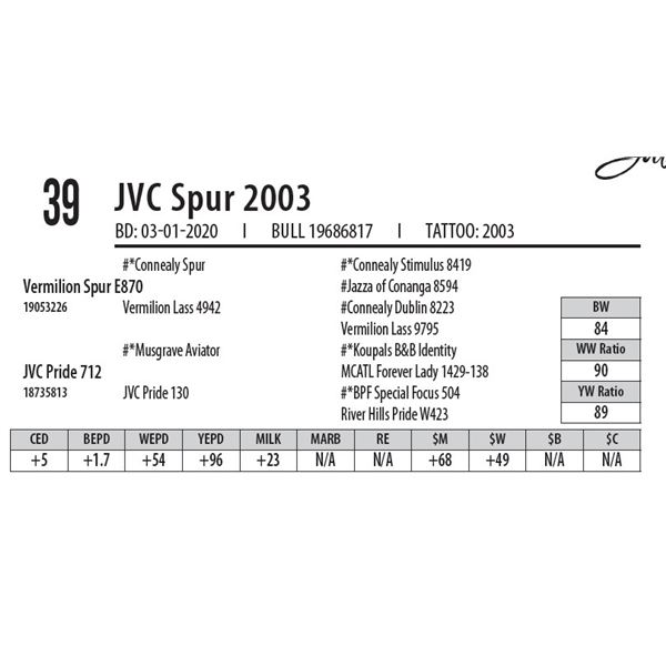 JVC Spur 2003