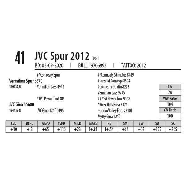 JVC Spur 2012 [ DDP ]