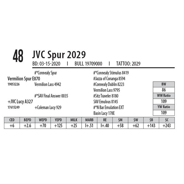JVC Spur 2029