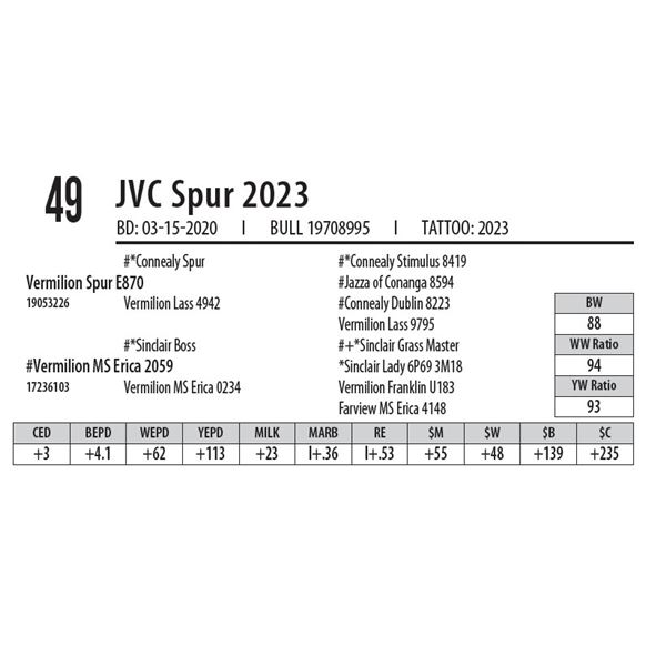 OUT OF SALE - JVC Spur 2023