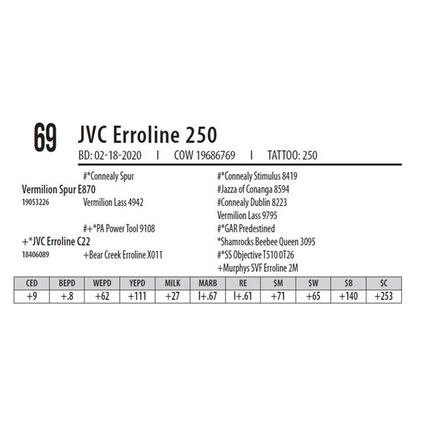 JVC Erroline 250