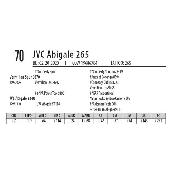 JVC Abigale 265
