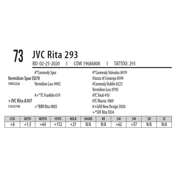 JVC Rita 293
