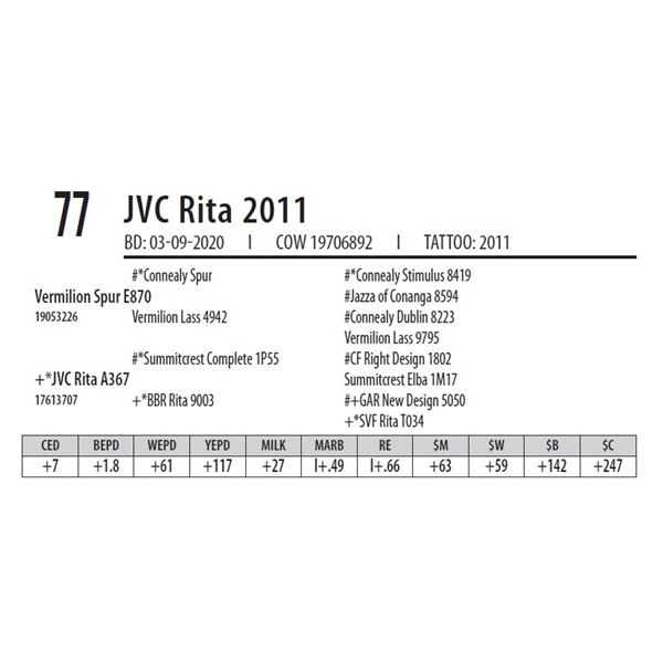 JVC Rita 2011