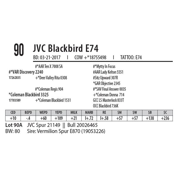 OUT OF SALE - JVC Blackbird E74