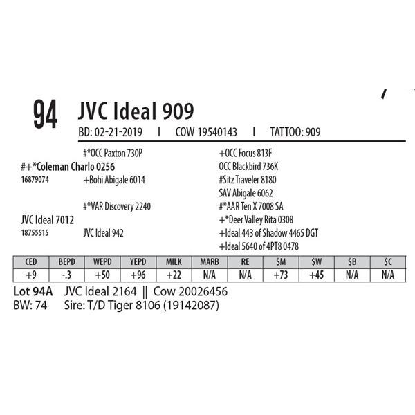 JVC Ideal 909