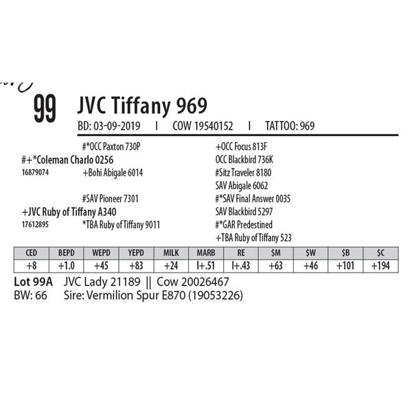 JVC Tiffany 969