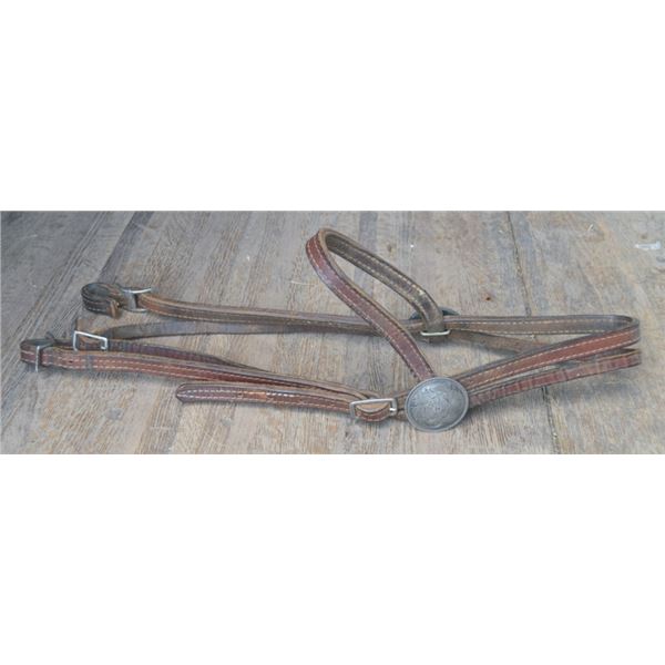 brow band headstall with 2 inch silver conchos