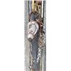 Image 2 : bridle with silver inlaid Mexican bit
