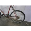 Image 2 : ORANGE AND GREY NO NAME BIKE