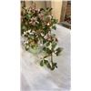 Image 2 : JADE TREE
