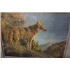 Image 2 : EVENING CALM - COYOTE LEP BY JORGE MAYOL 24545 - LIMITED EDITION PRINT WITH PLATE AND CERTIFICATE OF