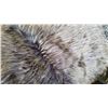Image 2 : 2 LUXURY THROW BLANKETS