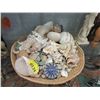 Image 1 : 15" Tray of Seashells & 1 Art Glass Paperweight