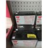 Image 1 : 4 Yuasa NP7-12 Batteries