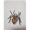Image 1 : SPIDER RHINESTONE BROOCH