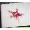 Image 1 : STARFISH RHINESTONE BROOCH