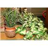 Image 1 : 2 ARTIFICIAL PLANTS IN POTS