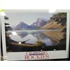 Image 1 : CELEBRATING THE ROCKIES FRAMED POSTER