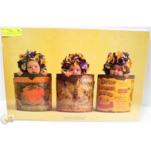 ANNE GEDDES 'PANSIES' PICTURE ON WOOD  19 IN X 13