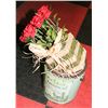 Image 1 : POTTERY CACTUS GARDEN PAINT POT & RED ROSES