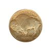 Image 2 : 1913 VARIETY 1 BUFFALO NICKEL ANACS UNC DETAILS